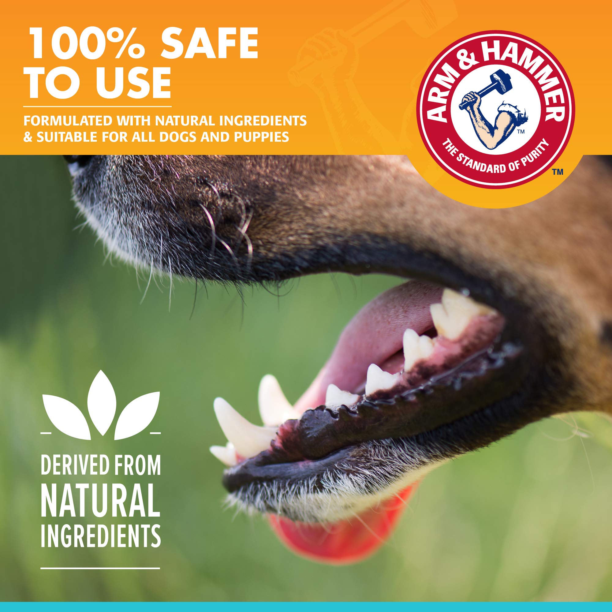 Foto 5 pulgar | Spray Dental Arm & Hammer Fresh Breath Para Perros, 120 Ml - Venta Internacional.