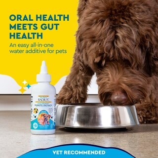 Foto 4 | Aditivo De Agua Dental Radius Oralpro+ Probiótico Para Mascotas 120 Ml - Venta Internacional.
