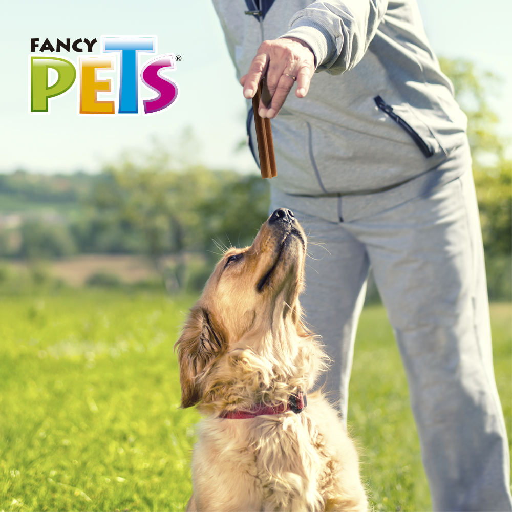 Foto 6 pulgar | Sticks para Perro Fancy Pets Sabor Carne 5 Piezas