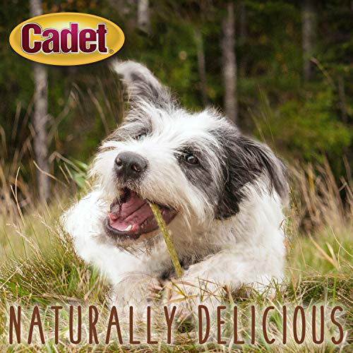 Foto 4 | Palitos De Piel De Ternera Dog Treat Cadet De Primera Calidad, 12,7 Cm - Venta Internacional.