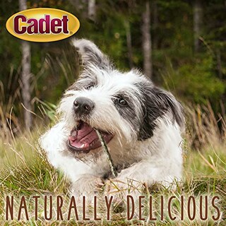Foto 5 | Palitos De Piel De Ternera Dog Treat Cadet De Primera Calidad, 5 100 Unidades - Venta Internacional.