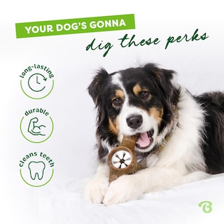 Foto 3 | Juguete Interactivo Para Dispensar Golosinas Para Perros Benebone Pawplexer - Venta Internacional.