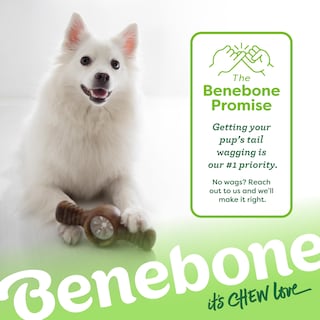 Foto 6 | Juguete Interactivo Para Dispensar Golosinas Para Perros Benebone Pawplexer - Venta Internacional.