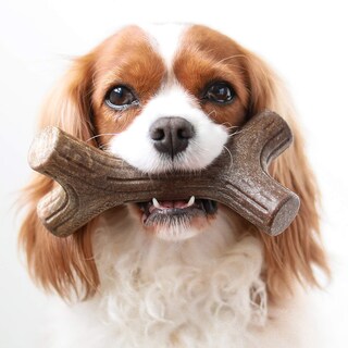 Foto 2 | Juguete Masticable Para Perros Benebone Bacon Stick De Madera Auténtica, Duradero, Pequeño - Venta Internacional.