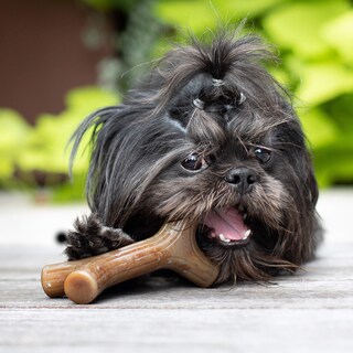 Foto 5 | Juguete Masticable Para Perros Benebone Bacon Stick De Madera Auténtica, Duradero, Pequeño - Venta Internacional.