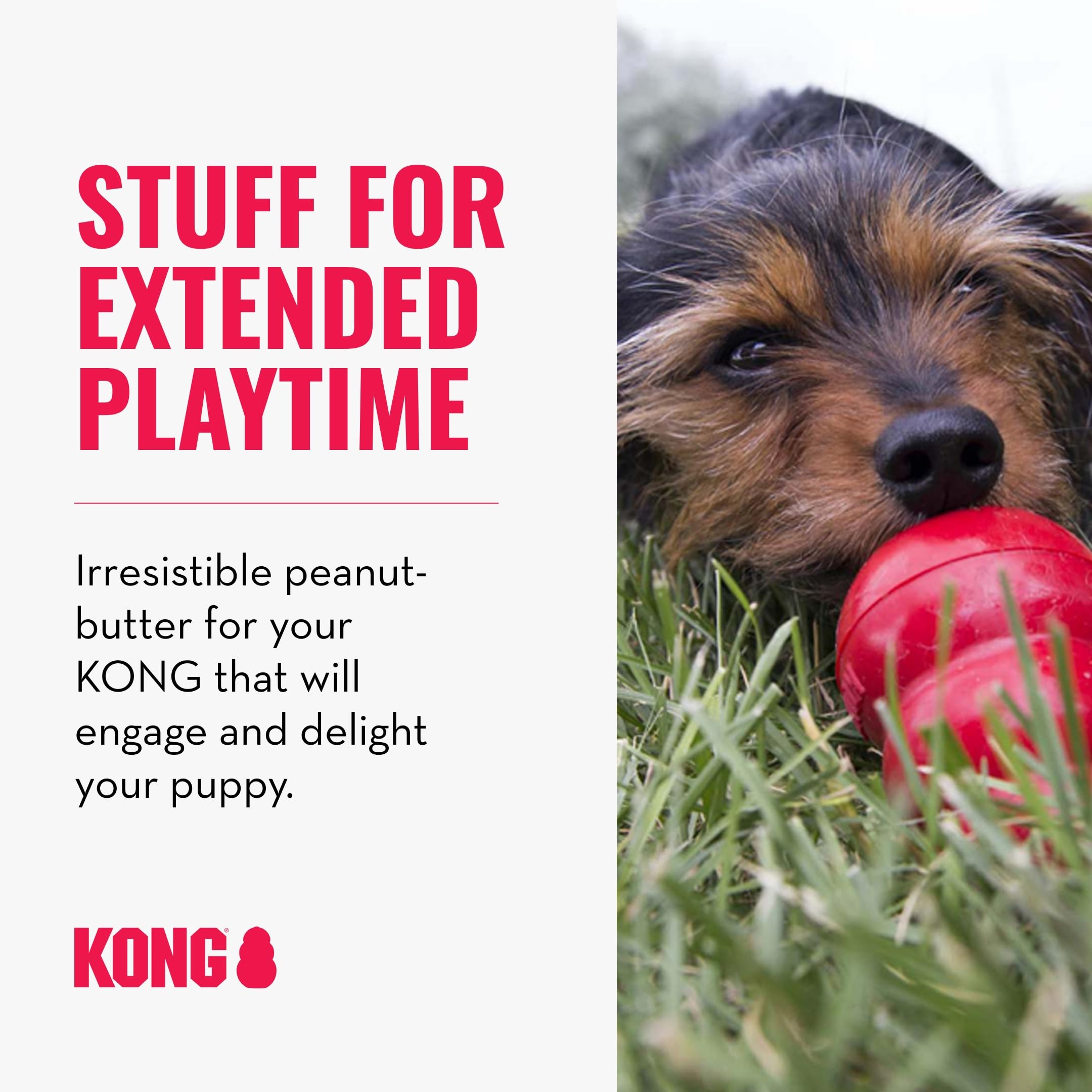 Foto 4 pulgar | Dog Toy Kong Classic, Relleno Con Mantequilla De Cacahuete Fácil De Tratar - Venta Internacional.