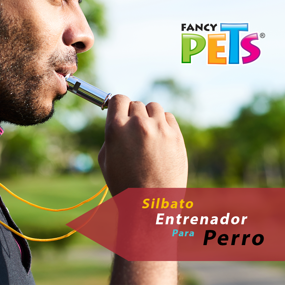 Foto 3 pulgar | Silbato Entrenador de Perro Fancy Pets FL8563 Plateado