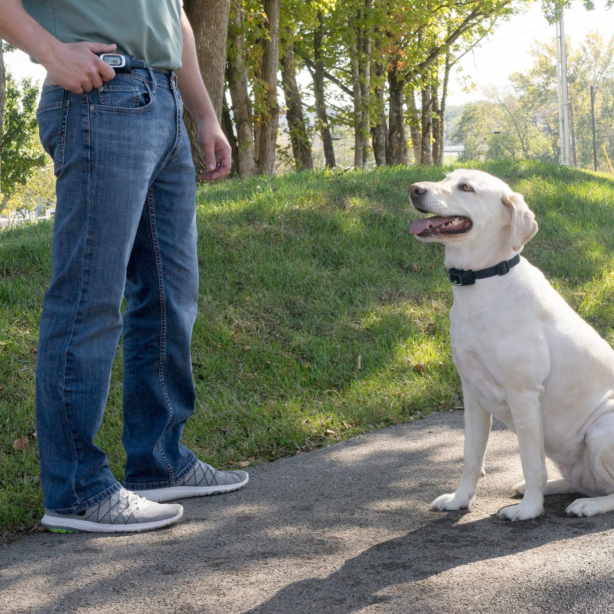 Foto 6 | Clip De Cinturón Transmisor Remote Trainer Para Petsafe - Venta Internacional.