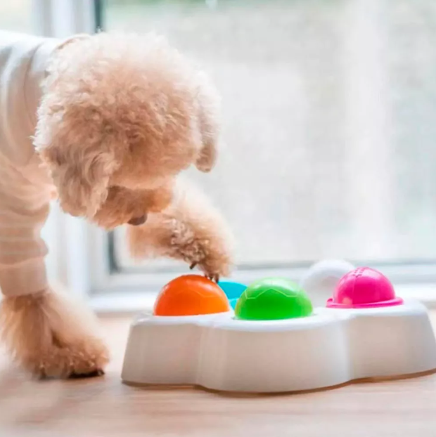 Foto 4 pulgar | Comedero Giratorio De Búsqueda Interactivo Para Perros