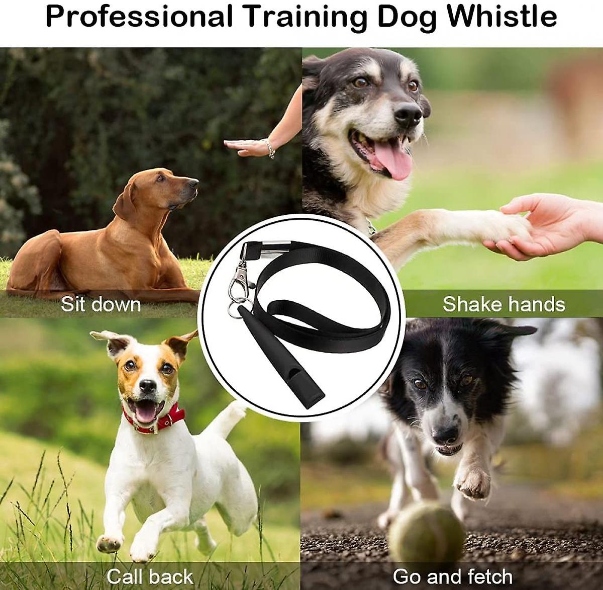 Foto 4 pulgar | Silbato Para Perros Huoguo, Entrenamiento Profesional Para Dejar De Ladrar - Venta Internacional.