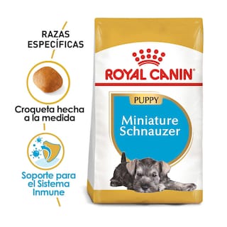 Foto 2 | Alimento para Perro Mini Schnauzer Puppy Royal Canin 1.1 Kg