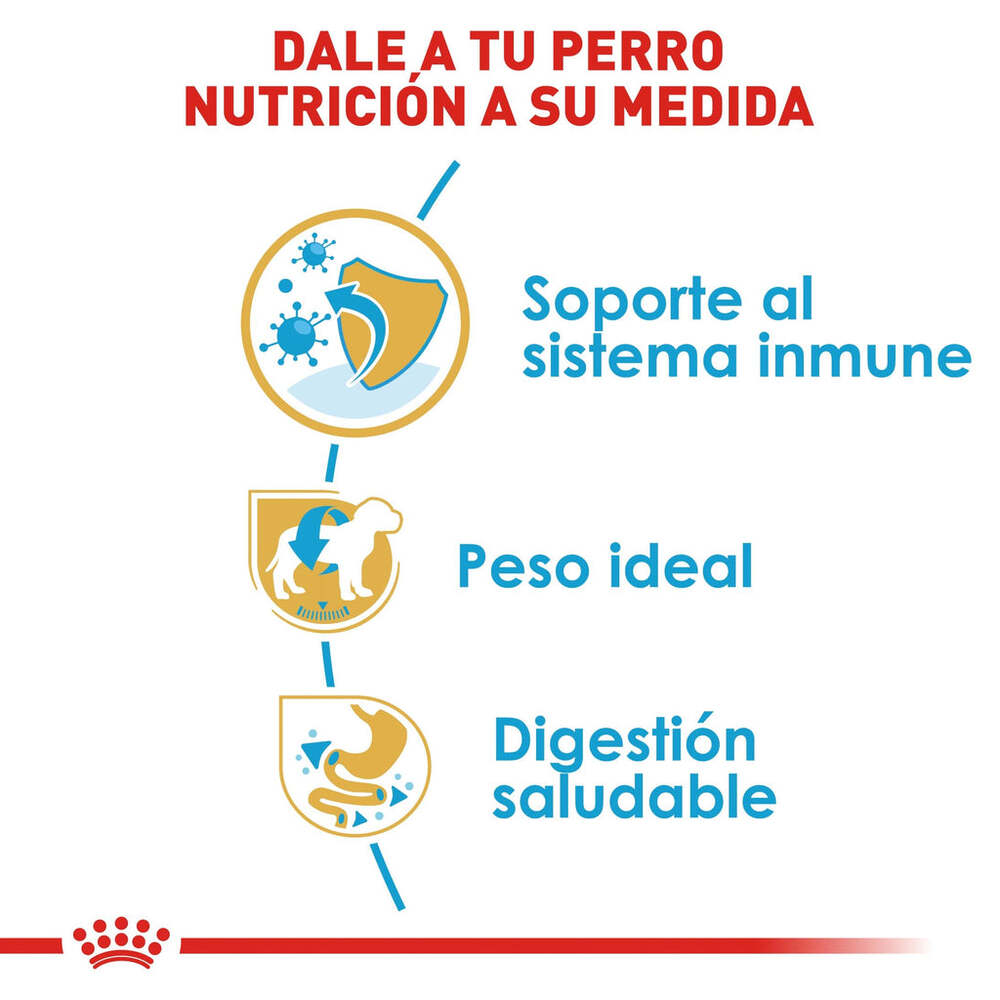 Foto 5 | Alimento para Perro Mini Schnauzer Puppy Royal Canin 1.1 Kg
