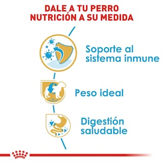Foto 5 | Alimento para Perro Mini Schnauzer Puppy Royal Canin 1.1 Kg