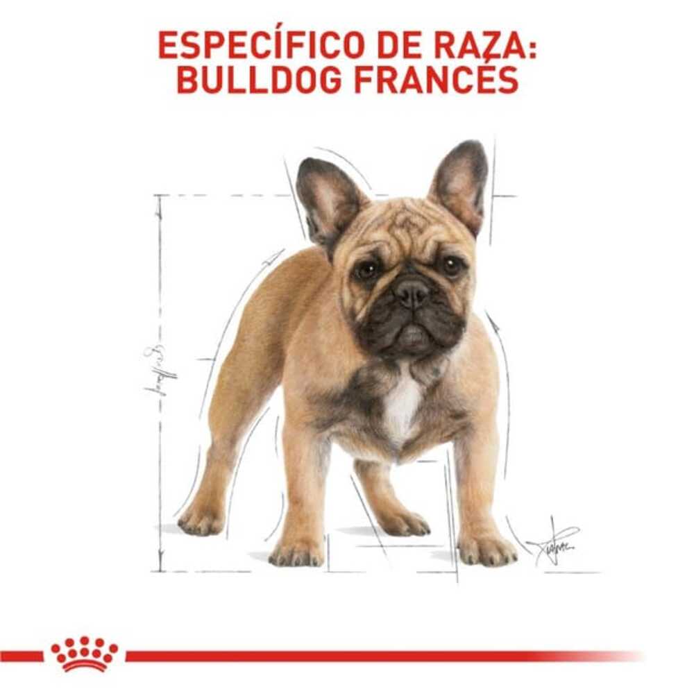 Foto 3 pulgar | Alimento para Perro French Bulldog Royal Canin 2.7 Kg