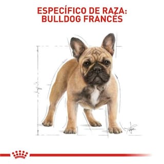 Foto 2 | Alimento para Perro French Bulldog Royal Canin 2.7 Kg