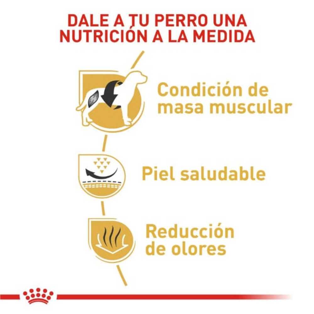 Foto 5 pulgar | Alimento para Perro French Bulldog Royal Canin 2.7 Kg