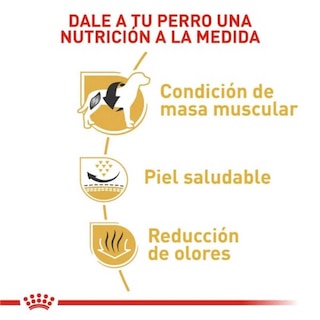 Foto 4 | Alimento para Perro French Bulldog Royal Canin 2.7 Kg