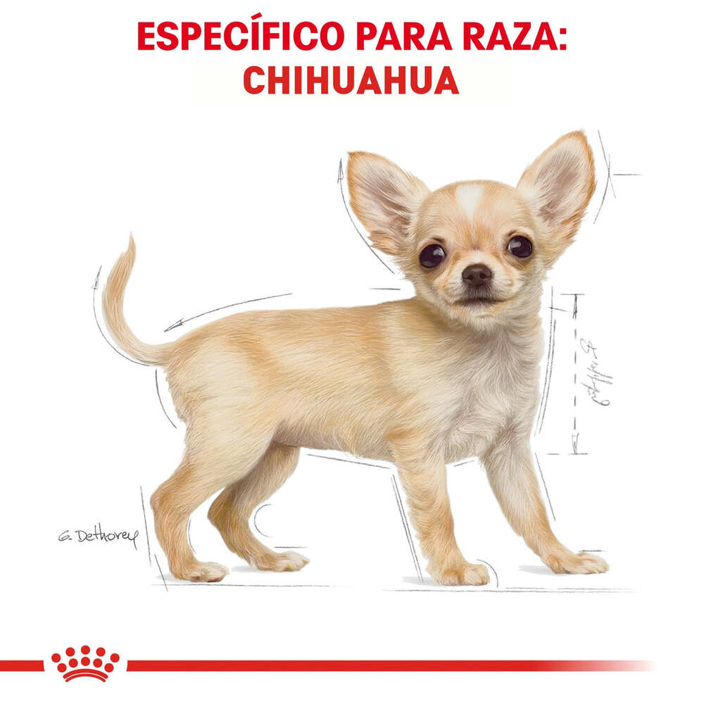 Foto 4 pulgar | Alimento para Perro Chihuahua Puppy Royal Canin 1.1 Kg