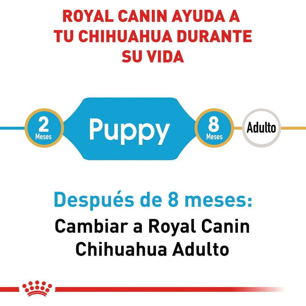 Foto 5 pulgar | Alimento para Perro Chihuahua Puppy Royal Canin 1.1 Kg