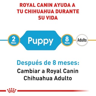Foto 4 | Alimento para Perro Chihuahua Puppy Royal Canin 1.1 Kg