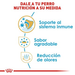 Foto 6 | Alimento para Perro Chihuahua Puppy Royal Canin 1.1 Kg