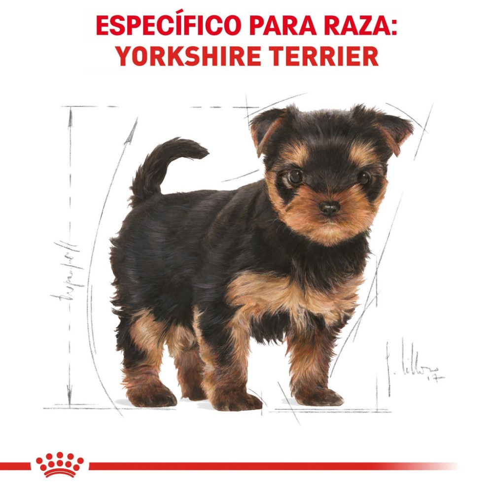 Foto 4 pulgar | Alimento para Perro Yorkshire Puppy Royal Canin 1.1 Kg