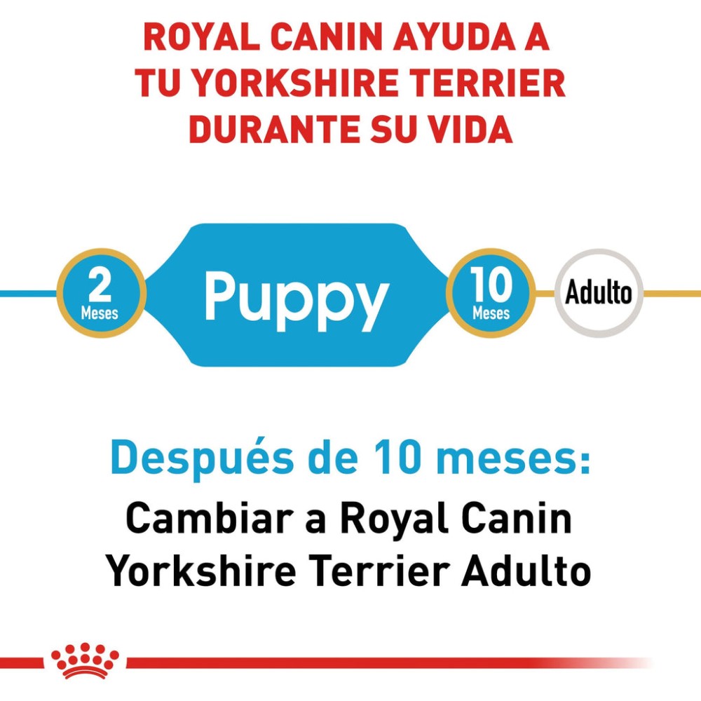Foto 5 pulgar | Alimento para Perro Yorkshire Puppy Royal Canin 1.1 Kg