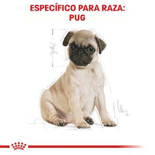 Foto 3 | Alimento para Perro Pug Puppy Royal Canin 1.1 Kg