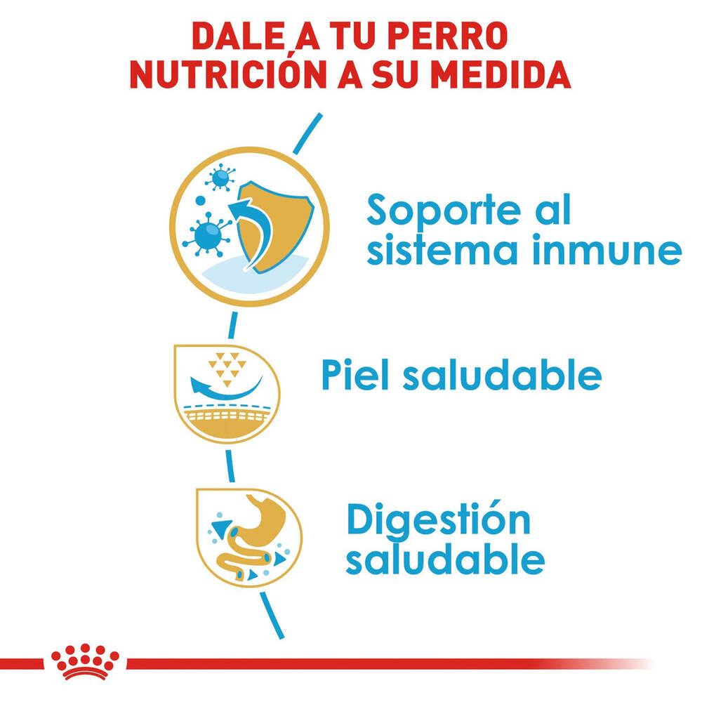 Foto 6 pulgar | Alimento para Perro Pug Puppy Royal Canin 1.1 Kg