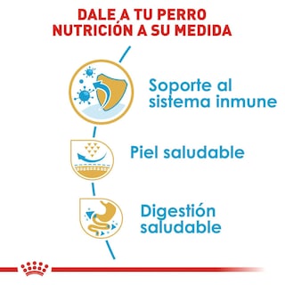 Foto 5 | Alimento para Perro Pug Puppy Royal Canin 1.1 Kg