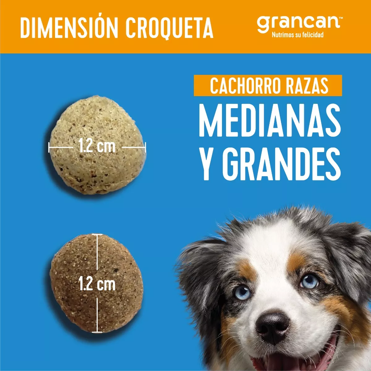 Foto 9 pulgar | Croqueta Grancan Cachorro Raza Mediana Y Grande Pack 6 Kg