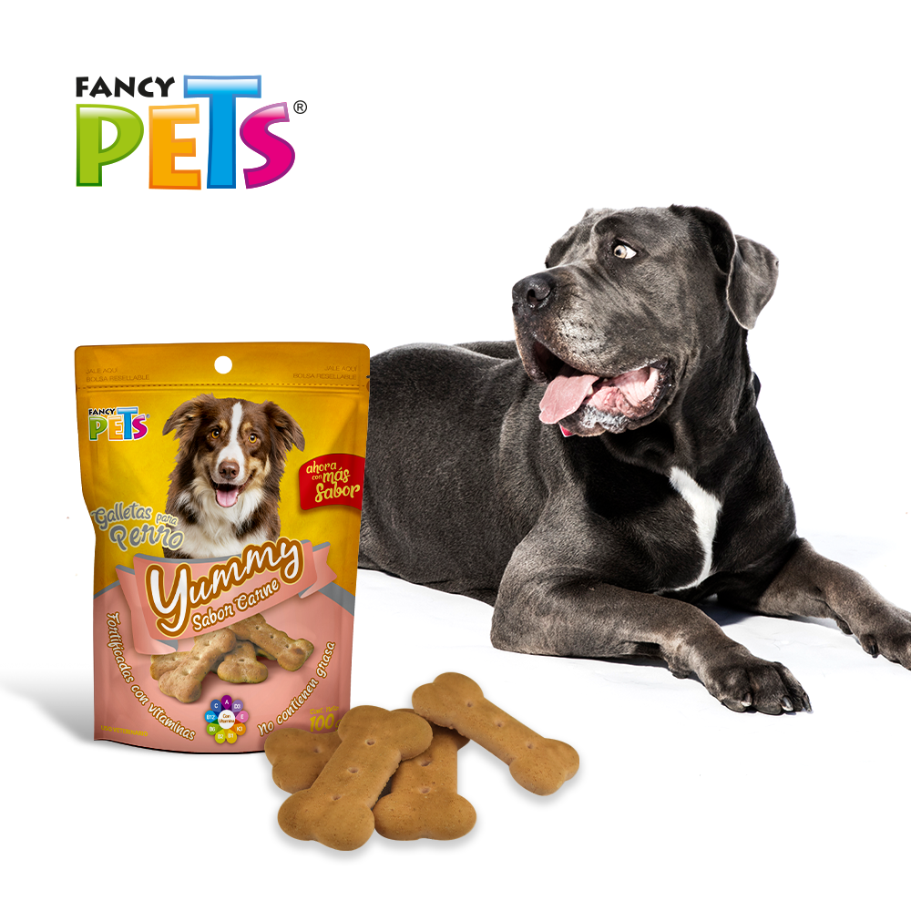 Foto 6 pulgar | Fancy Pets Yummy Galletas Sabor Carne Para Perro Con 100 Gramos, Con Vitaminas Y Minerales