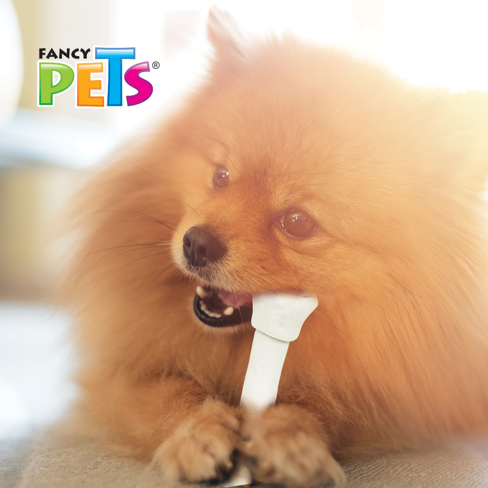 Foto 4 pulgar | Fancy Pets Carnaza Dental Para Perro Con 2 Piezas