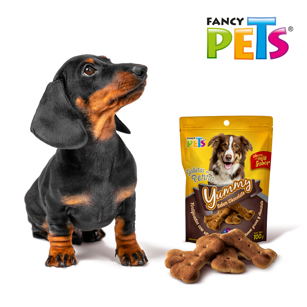 Foto 6 pulgar | Fancy Pets Yummy Galletas Sabor Chocolate Para Perro Con 100 Gramos, Con Vitaminas Y Minerales