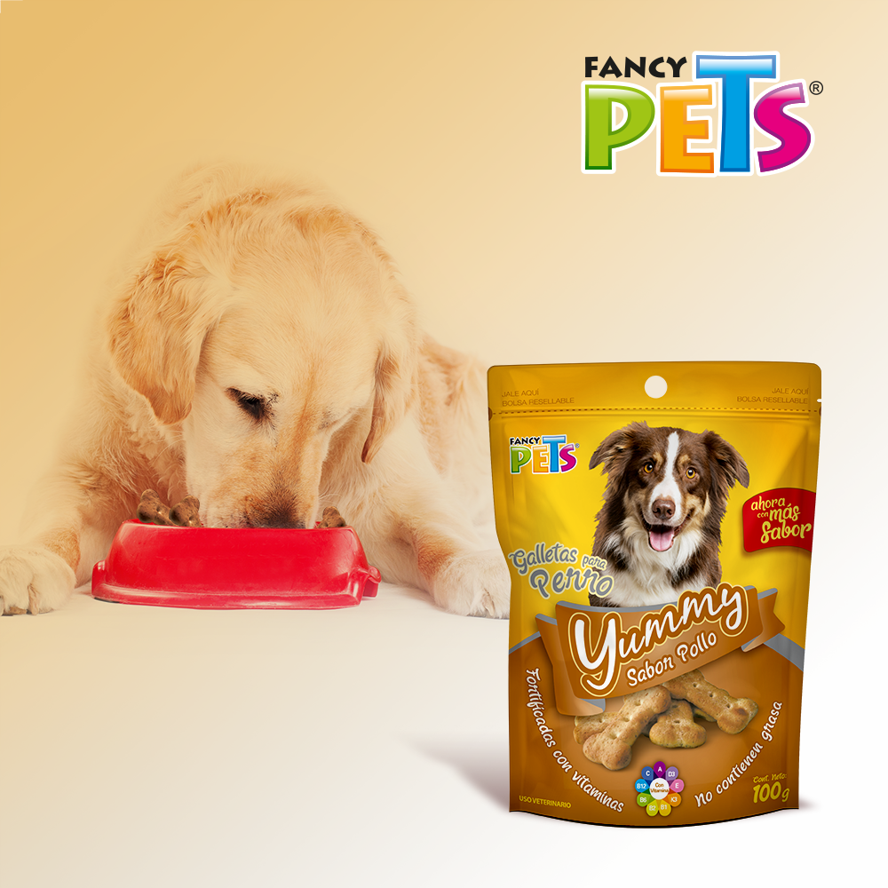 Foto 5 pulgar | Fancy Pets Yummy Galletas Sabor Pollo Para Perro Con 100 Gramos, Con Vitaminas Y Minerales