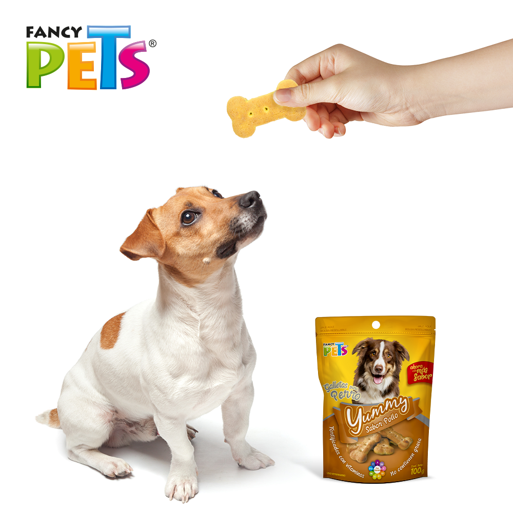 Foto 6 pulgar | Fancy Pets Yummy Galletas Sabor Pollo Para Perro Con 100 Gramos, Con Vitaminas Y Minerales