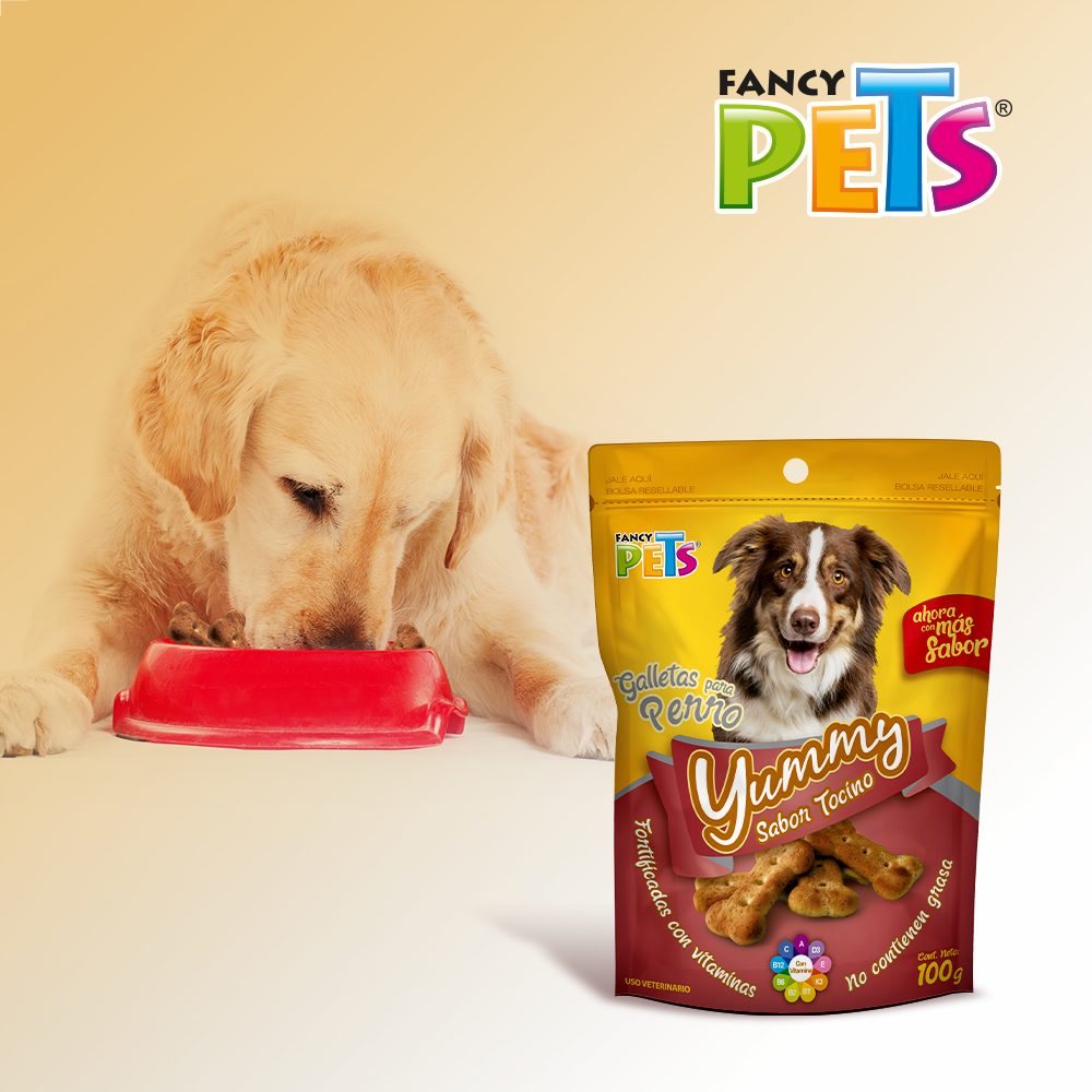 Foto 5 pulgar | Fancy Pets Yummy Galletas Sabor Tocino Para Perro Con 100 Gramos, Con Vitaminas Y Minerales