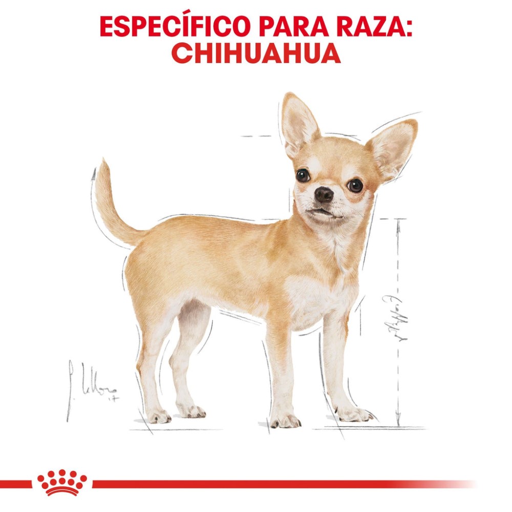 Foto 4 pulgar | Alimento de Perro Royal Canin para Chihuahua Adulto 1.1 kg