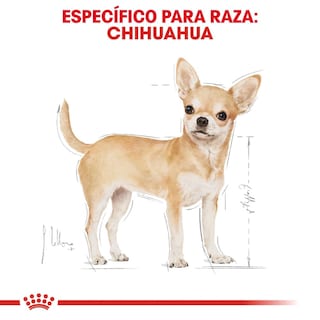 Foto 3 | Alimento de Perro Royal Canin para Chihuahua Adulto 1.1 kg