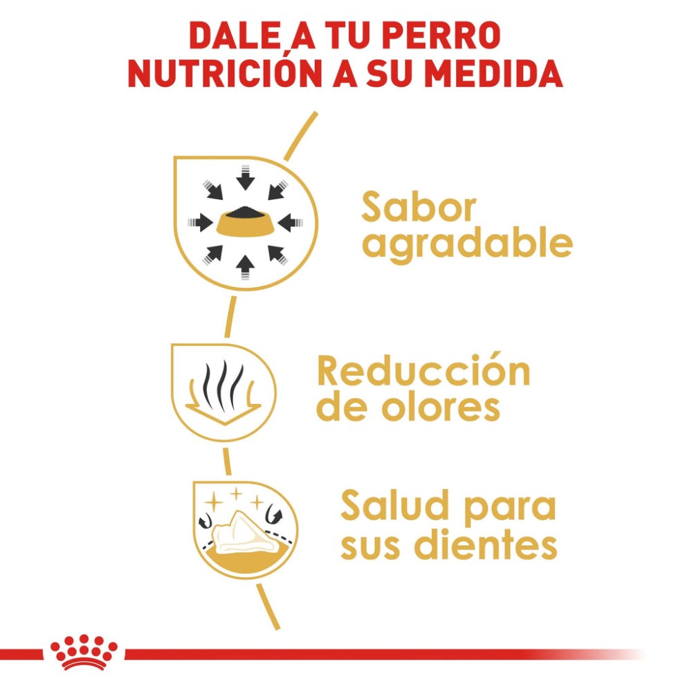 Foto 6 pulgar | Alimento de Perro Royal Canin para Chihuahua Adulto 1.1 kg