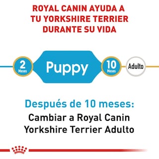 Foto 4 | Alimento Croqueta para Perro Yorkshire Cachorro Royal Canin 1 kg