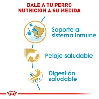Foto 6 | Alimento Croqueta para Perro Yorkshire Cachorro Royal Canin 1 kg