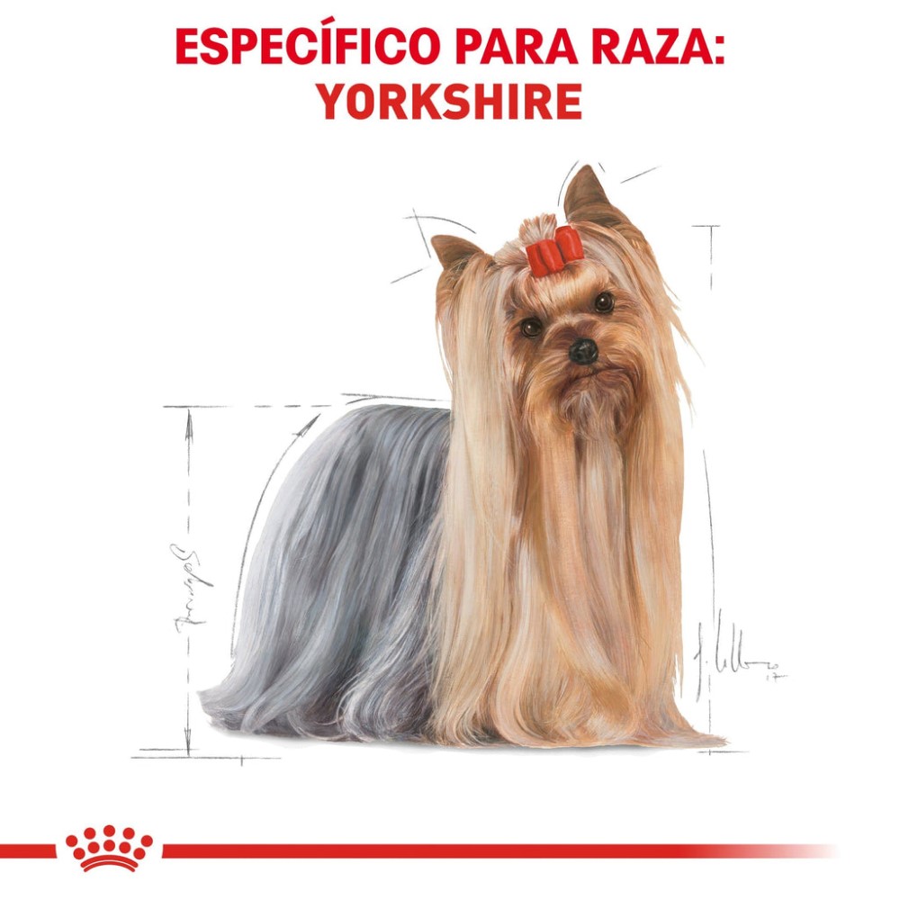 Foto 4 pulgar | Alimento en Croqueta para Yorkshire Adulto Royal Canin 1.1 kg
