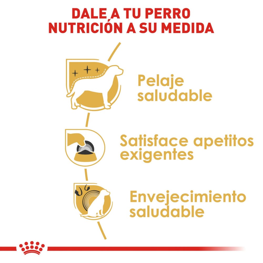 Foto 6 pulgar | Alimento en Croqueta para Yorkshire Adulto Royal Canin 1.1 kg