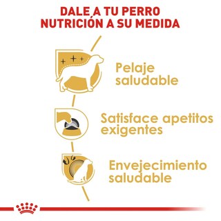 Foto 5 | Alimento en Croqueta para Yorkshire Adulto Royal Canin 1.1 kg