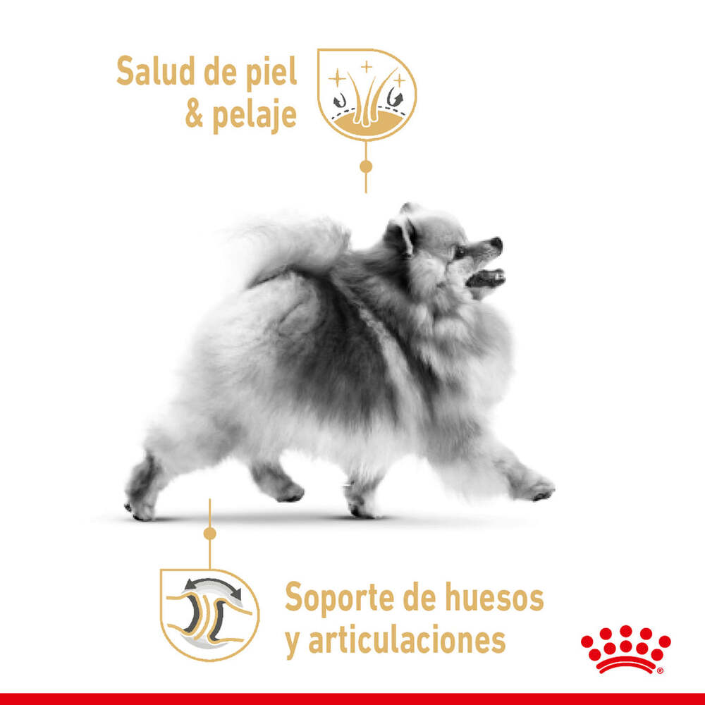 Foto 4 pulgar | Alimento para Pomeranian Adulto Royal Canin 1.1kg