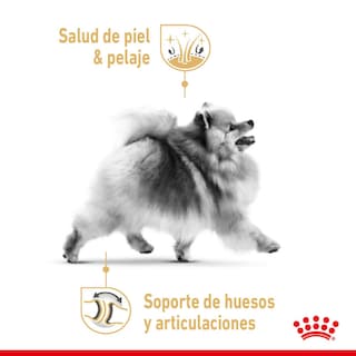 Foto 3 | Alimento para Pomeranian Adulto Royal Canin 1.1kg