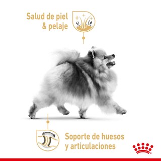 Foto 4 | Alimento para Pomeranian Adulto Royal Canin 1.1kg