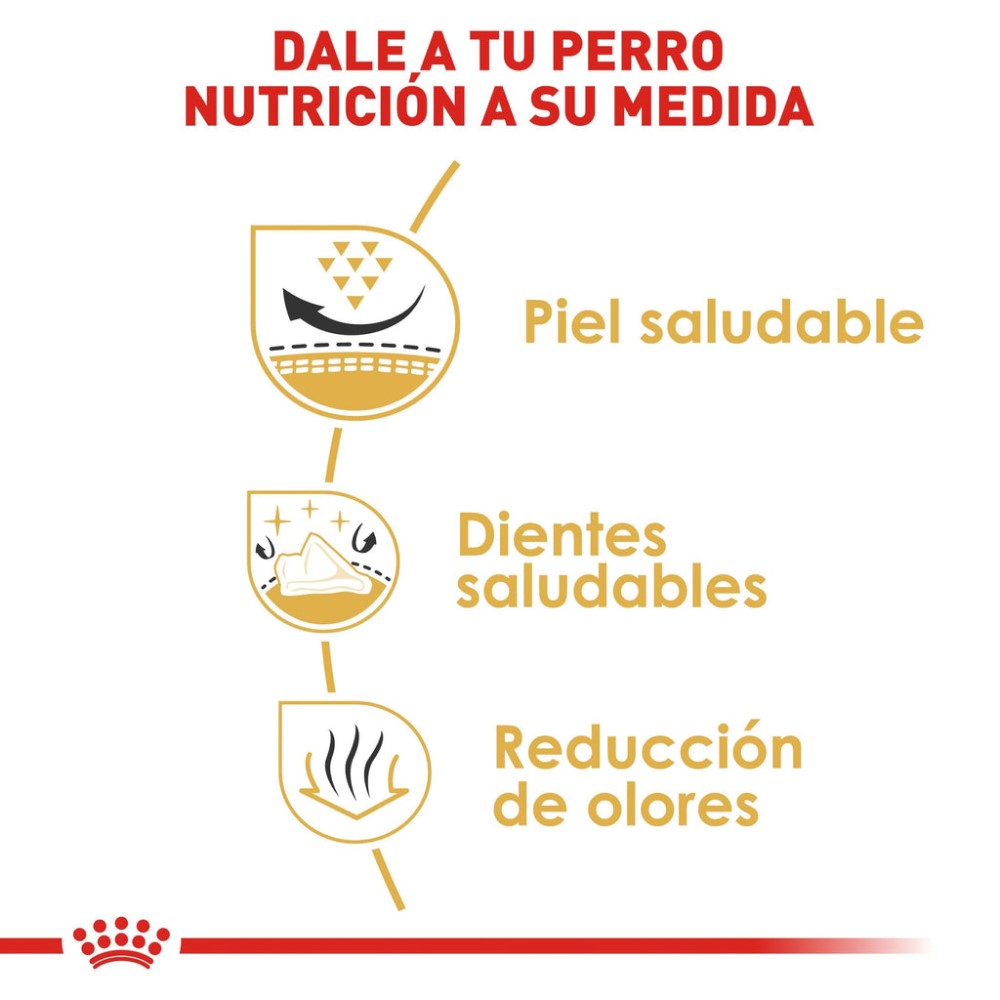 Foto 6 pulgar | Alimento en Croqueta para Shih-tzu Adulto Royal Canin 1.1 kg