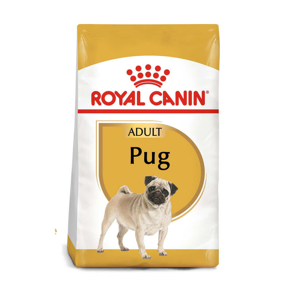 Foto 2 pulgar | Alimento en Croqueta para Pug Adulto Royal Canin 1.1 kg
